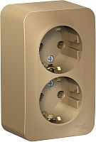 Розетка с заземлением накладная Systeme Electric Blanca 2-м. титан картинка